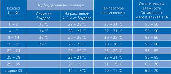 температурный режим для цыплят