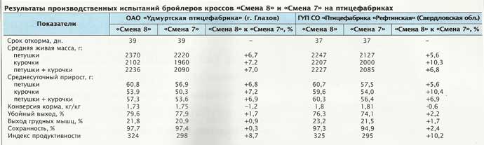 Кросс «Смена 8» 