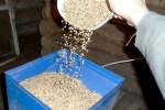 Корма для Кур Несушек Дробить или не дробить? Зачем и кому нужен размол