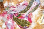 Снижение риска закупорки мускульного желудочка и зоба у птицы и Кур несушек