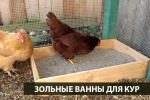 Песочно-зольные ванны (пылевые ванны) для кур