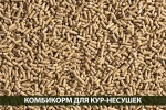 Как подобрать комбикорм для кур несушек?