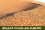 Песок для Кур. Зачем он нужен?
