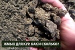 Жмых в кормлении кур несушек. Нужно ли их давать несушкам?
